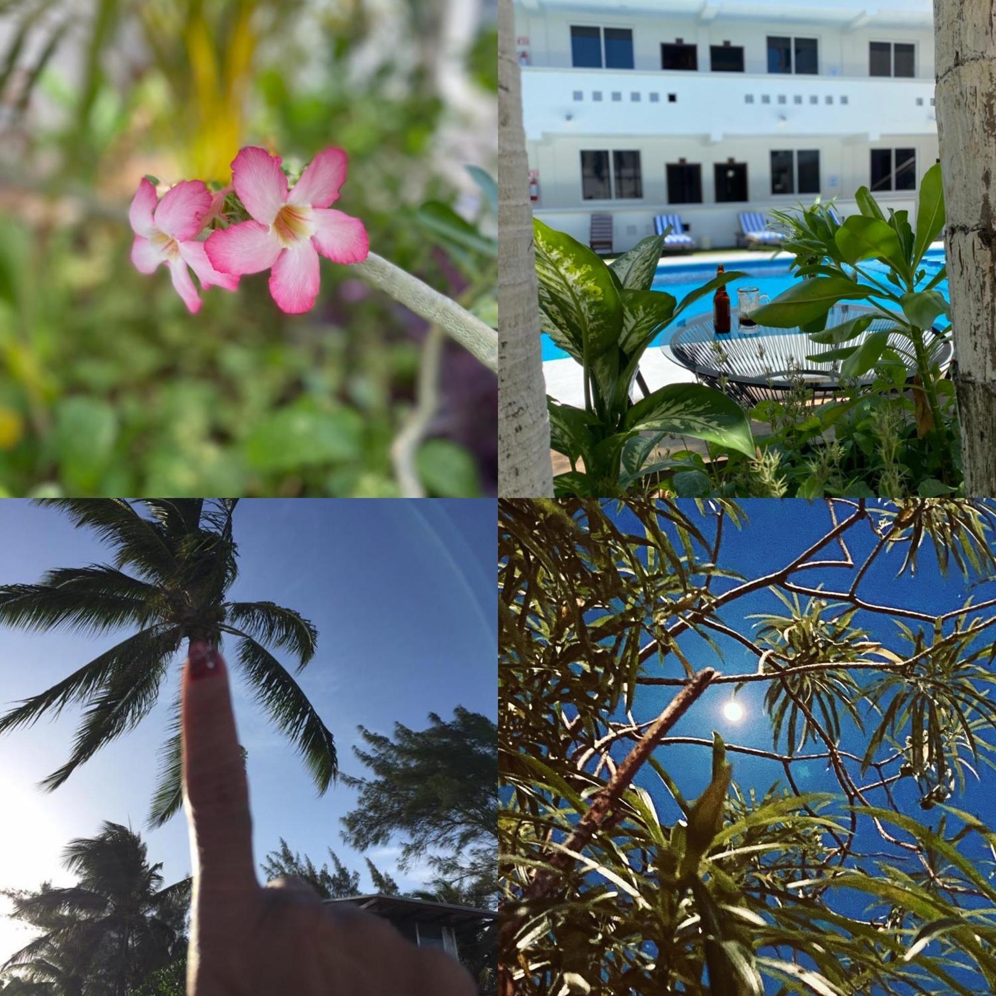 Hotel Balxiba Playa del Carmen Eksteriør billede